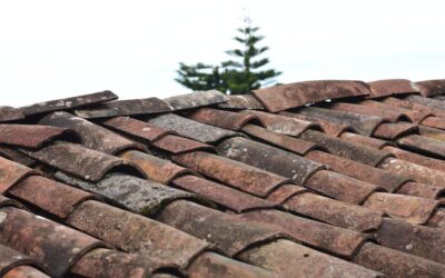 Architectural Shingles: Elevating the Curb Appeal of Your South Point Property